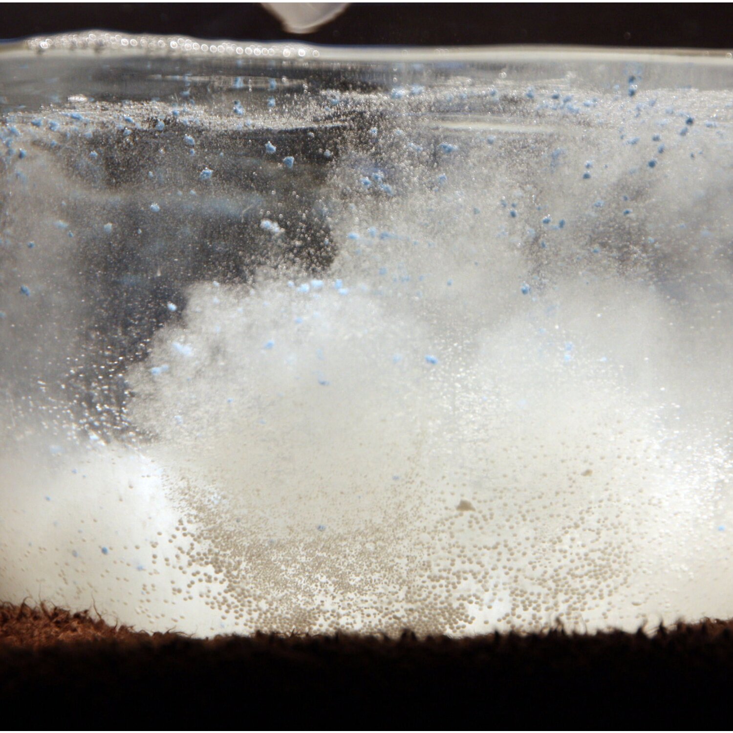 Microwiesel... das Pulver - der Waschkraftverstärker mit Sauerstoff, 5 kg